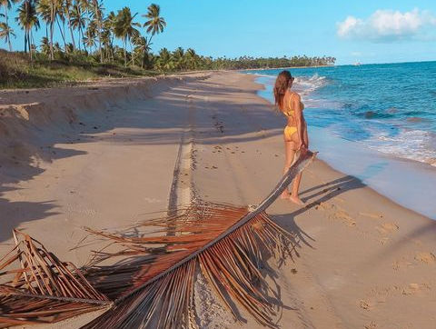 Guia Praia Do Forte‑ Bahia‑ Brasil