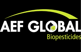 AEF Global.png