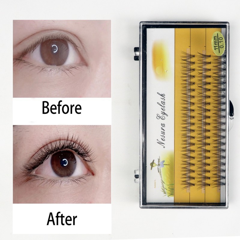 Best in the Game 1 Box/60 Bunches Mink Eyelashes10D Natural Eyelash Extensions Russia C Curl 0.07/0.1 Thick Individual Eyelash Makeup Tools