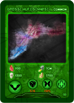 Grosse Hufeisennase I