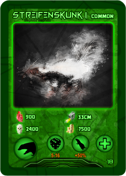 Streifenskunk I