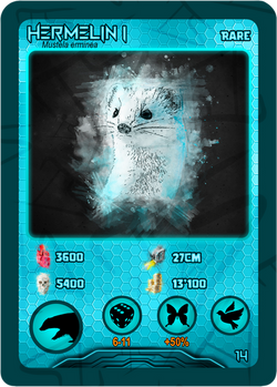 Hermelin I