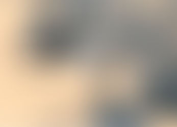 "les jours Noisette" : le choix de Montreuil