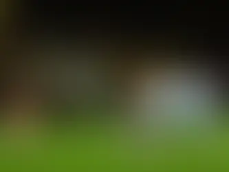 Motherwell 2-2 Rangers: Dead man walking