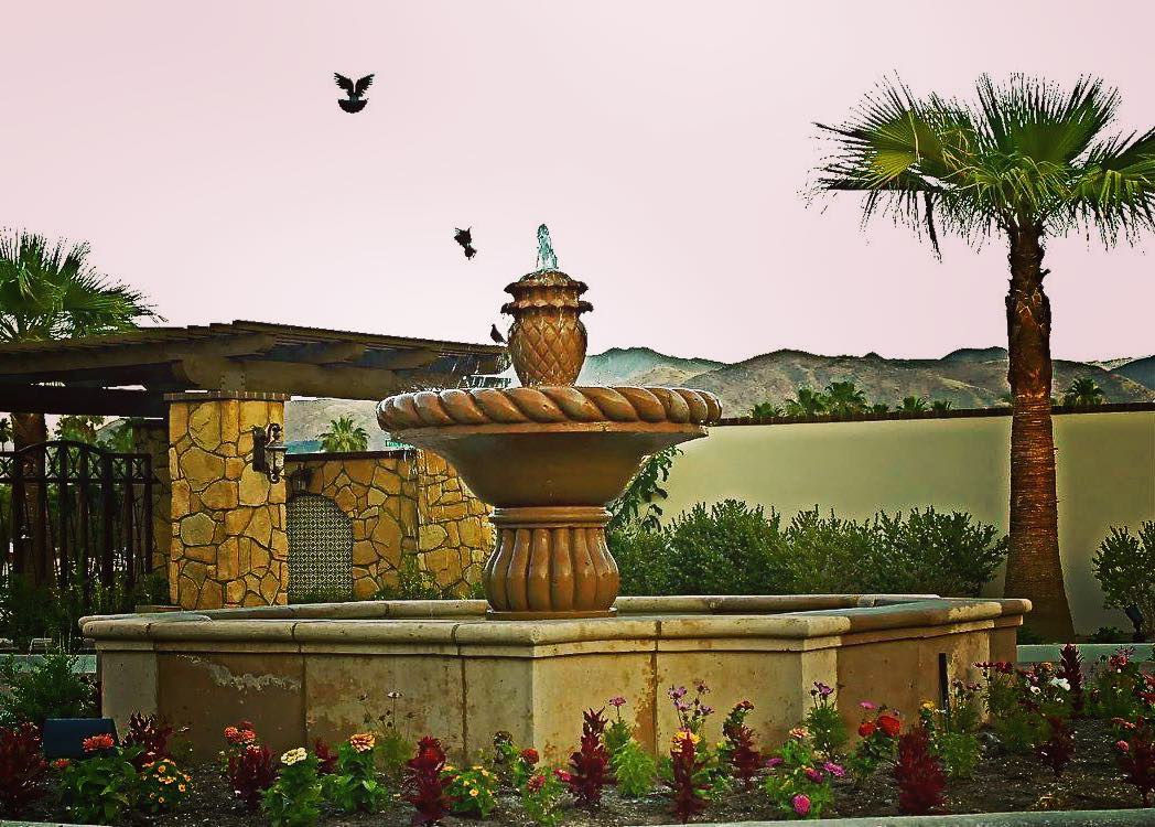 Cafe Fountain