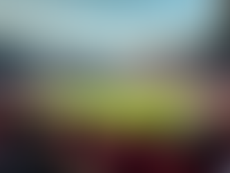 Sports News Digest: Key Updates of the Week