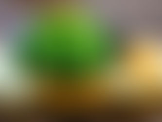 WAKAME: L’ALGA DEL BENESSERE CHE ARRIVA DAL MARE