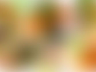 DIETA VEGANA: COME BILANCIARLA CORRETTAMENTE ?