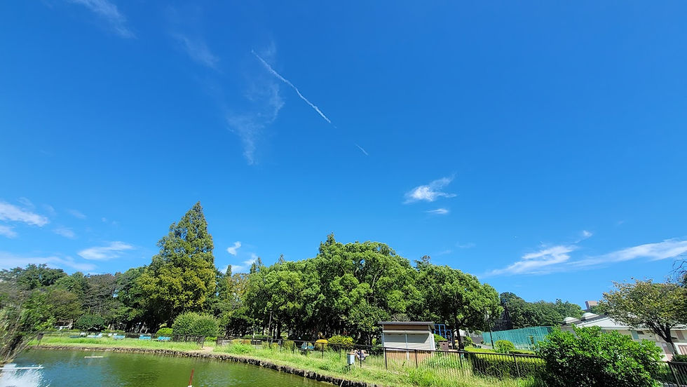 足立区淵江公園