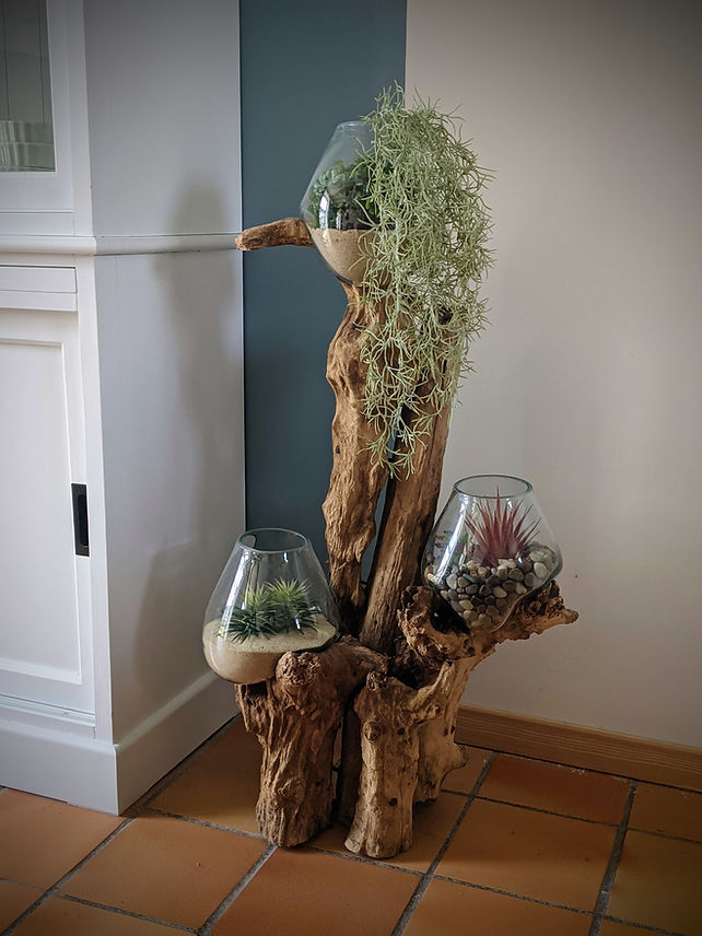 Décoration végétale bois flotté