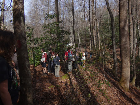 Caesars Head 11/17/24