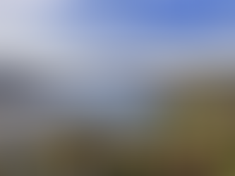 Inner West Market Update - March 2023