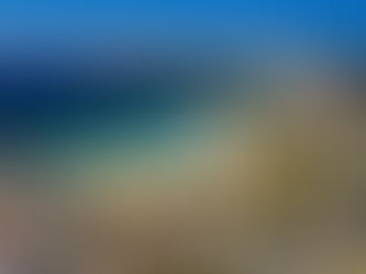 Northern Beaches Market Update - April 2023