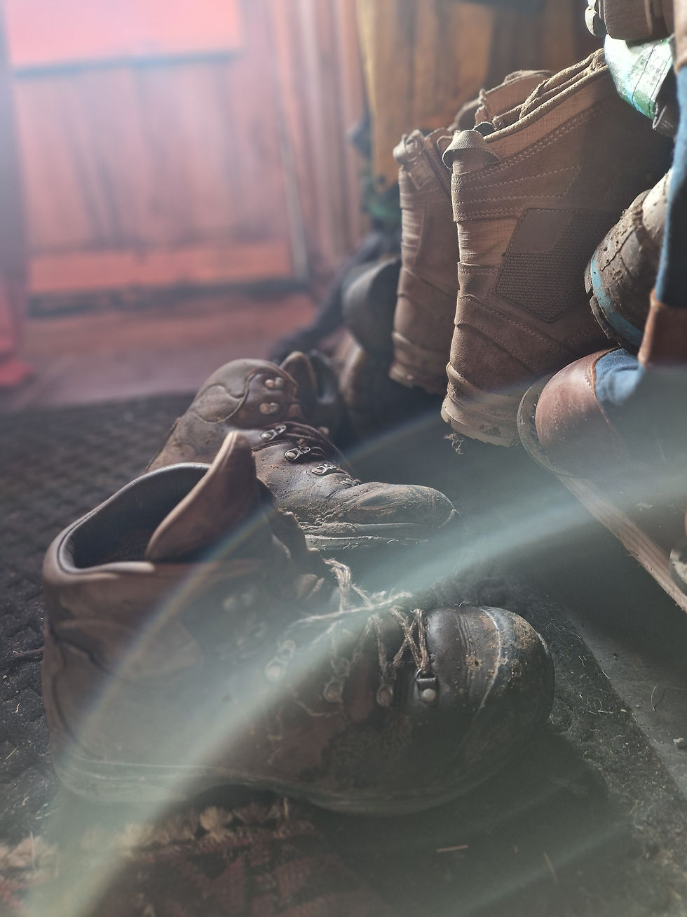 Walking boots at the door