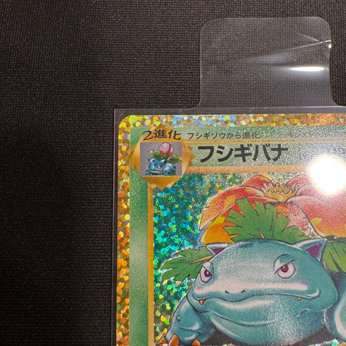 狀態A] PTCGJP/s8a-P 002/025 フシギバナ(初代奇異花25th版) | COMBO