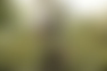 Kirchberg : Construction d'une tour pas comme les autres