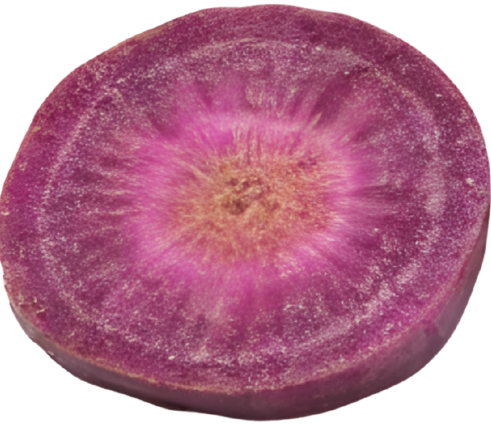 ENERGY CHOCOLATE (20).png