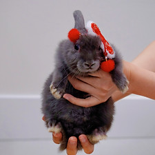 A4B895D2-0613-4D8C-9A82-F579E09B1C2D_1_2