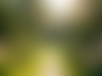 L'Art de l'Aménagement Paysager sur la Rive-Sud de Montréal