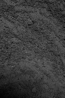 IMG_6160_edited_edited_edited.jpg
