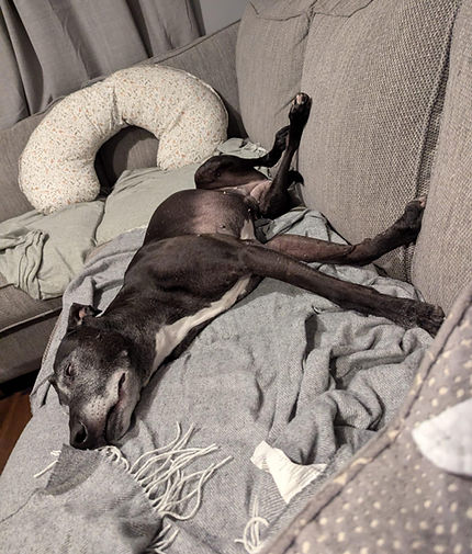 sleepy.jpeg