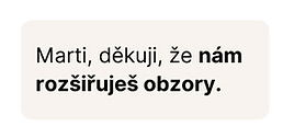 Webinář Vision board - stories.png
