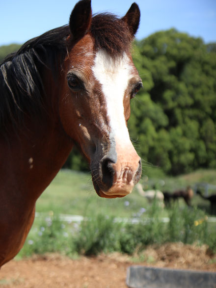 2022_01_14 15_23_54_240.JPG