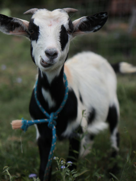 2022_02_01 16_25_09_208.JPG