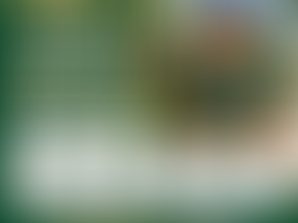 University of South Florida International Student Health Insurance Waiver Guide 2026-2027