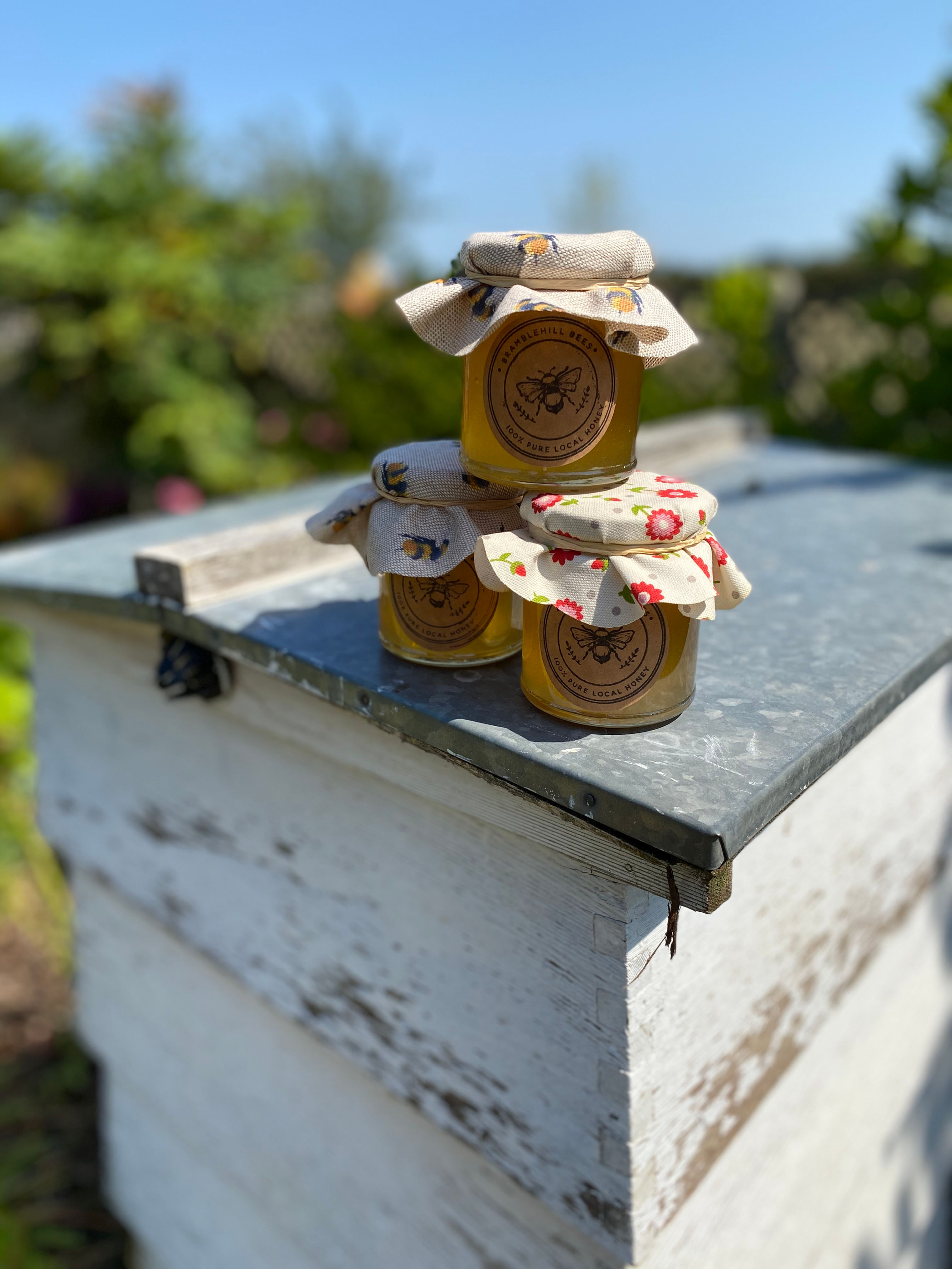 Bramble Hill Honey (2 jars for £12)