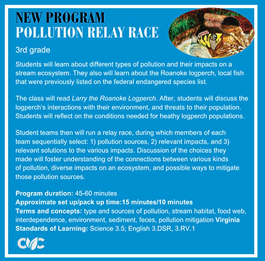 Pollution Relay Race_edited.jpg