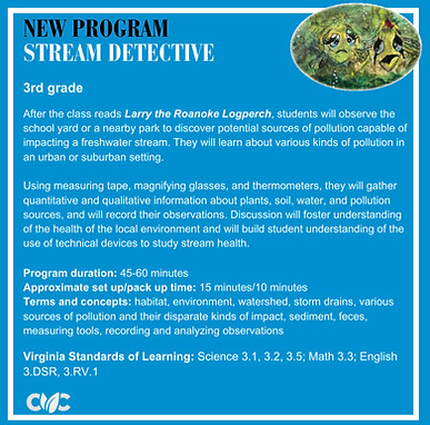 Stream Detective_edited.jpg