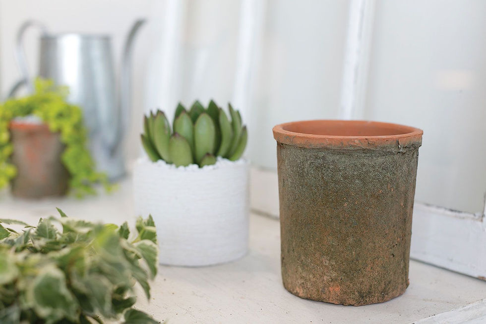 Thumbnail: Aged Terracotta Pots - set of 3