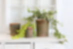 Thumbnail: Aged Terracotta Pots - set of 3