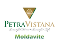 Petra Vistana Moldavite Logo_Final-01.png