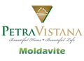 Petra Vistana Moldavite Logo_Final-01.png