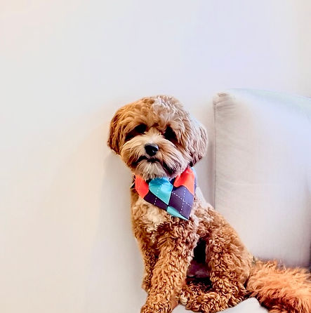 watson.jpg