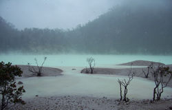 Kawah Putih - By Google