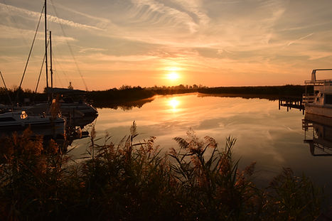 DSC_0562.JPG