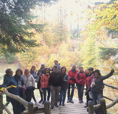 Autumn walk in Wildpark Bruderhaus, 2018
