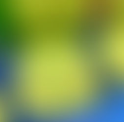 【衝撃の汚水】オフィスチェアの一斉クリーニング!黄ばみ・黒ずみがここまで綺麗に