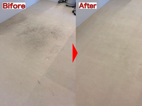 カーペットの汚れをAIに聞いてみた!!