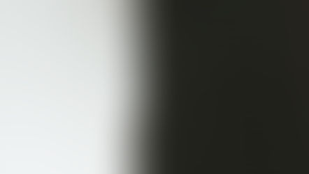 原産地におけるアルゼンチンアリの餌／Argentine ant's food in their native range