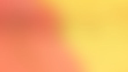 ブエノスアイレスのアルゼンチンアリ／Argentine ants in Buenos Aires