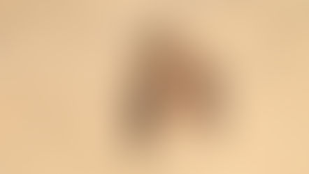 虫の死骸を無視するアルゼンチンアリ／Argentine ants ignoring a dead insect