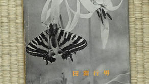 田淵行男 写真集 ヒメギフチョウ／"Life History of Luehdorfia puziloi in Japan" by Yukio Tabuchi