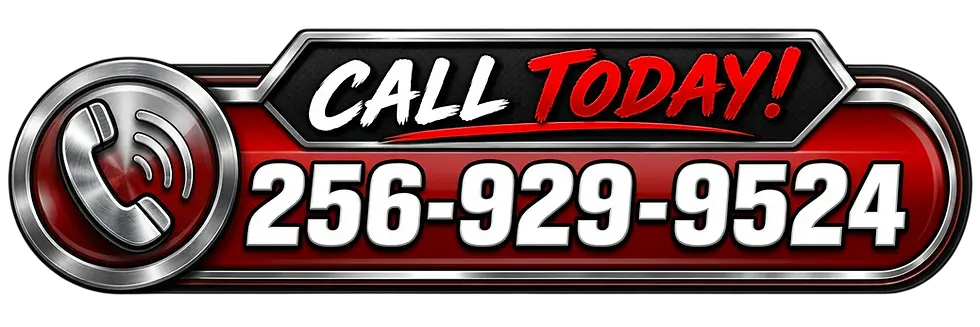 Call 256-929-9524 for brown recluse treatment Huntsville AL