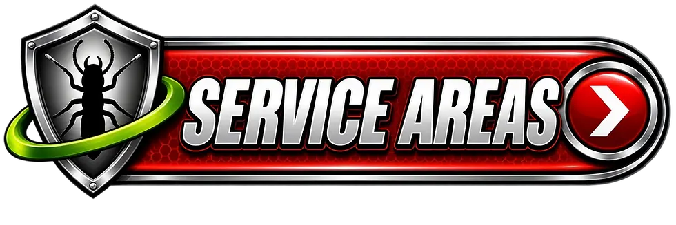 Digital graphic with bold metallic text "ERVICE AP" against a red hexagonal pattern. The design is modern and impactful.