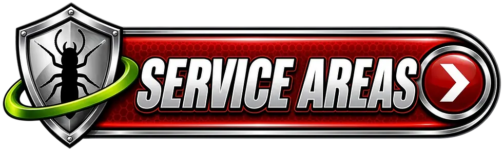 Digital graphic displaying bold, metallic lettering that reads "ERVICE AN" against a red honeycomb background. Its dynamic design suggests a professional and energetic brand or service.