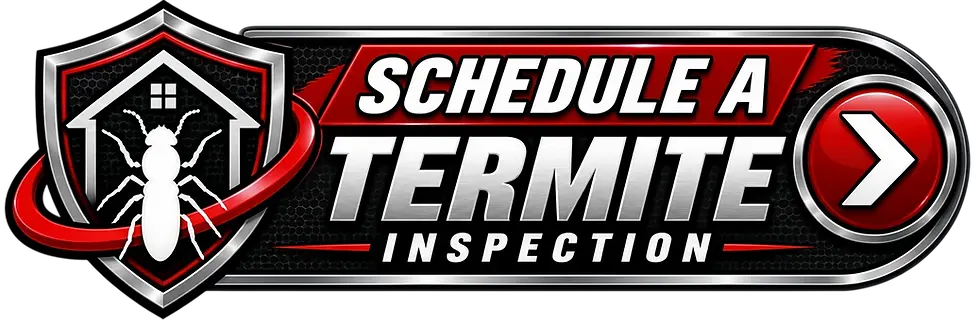 Schedule a termite inspection in Scottsboro AL